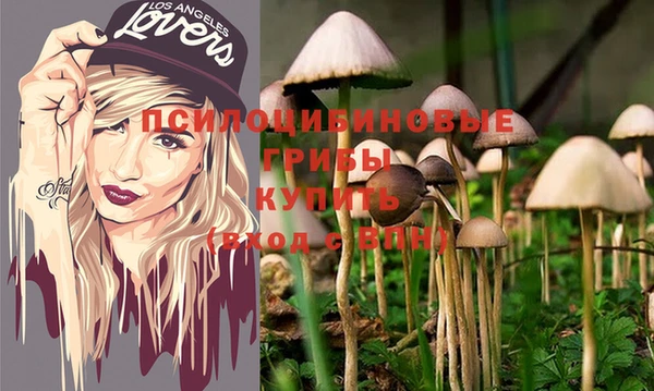 COCAINE Покачи