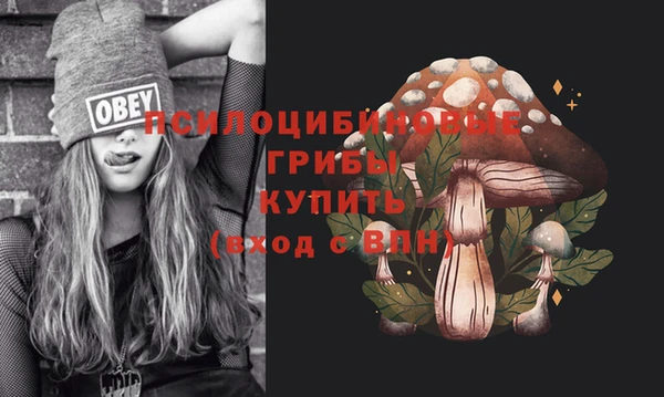 гашик Балабаново